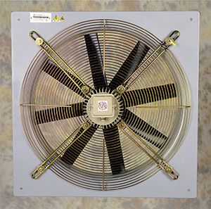 Fiber Fan
